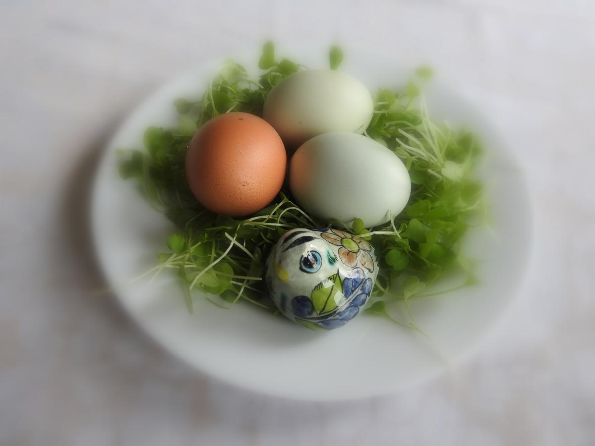 The Empty Nest B & B Carrying Place Bagian luar foto